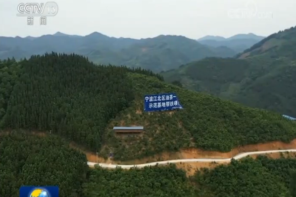 油茶樹串起的產業(yè)鏈