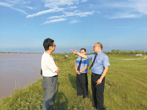 黃河濕地成為鳥類棲息的天堂